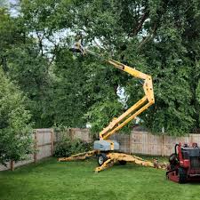  , KY Tree Care Pros