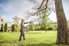 Best Hazardous Tree Removal  in , KY