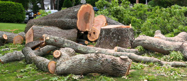 Best Seasonal Cleanup (Spring/Fall)  in , KY